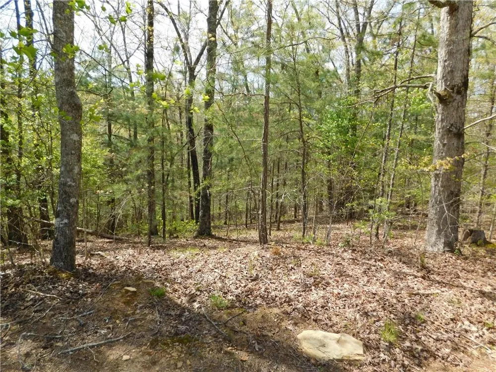 0 Dallas Lane Blue Ridge, GA 30513