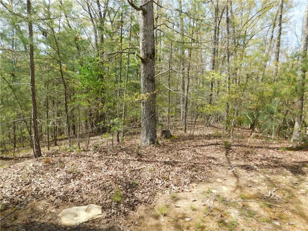 0 Dallas Lane Blue Ridge, GA 30513