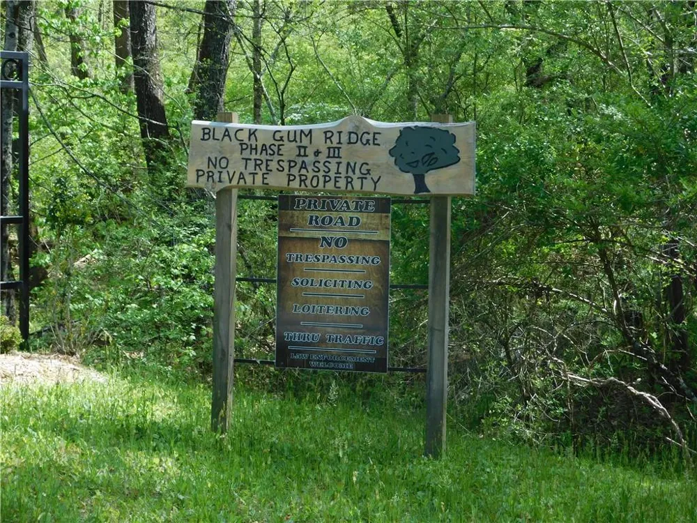 0 Dallas Lane Blue Ridge, GA 30513