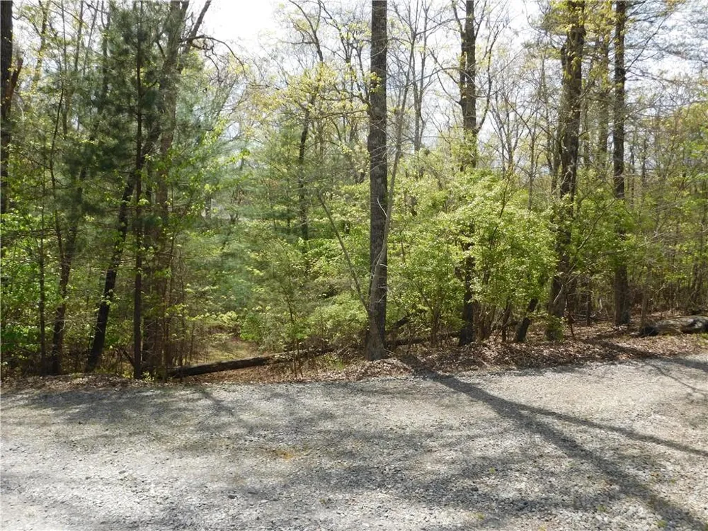 0 Dallas Lane Blue Ridge, GA 30513