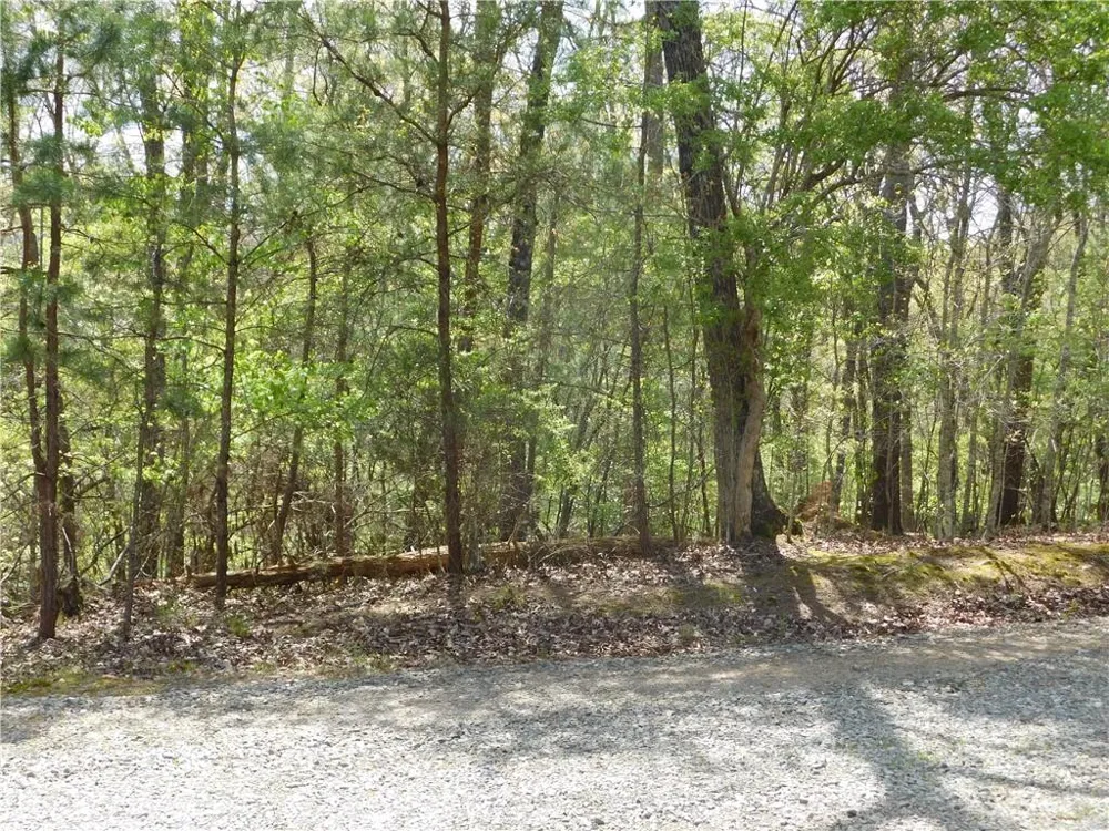 0 Dallas Lane Blue Ridge, GA 30513