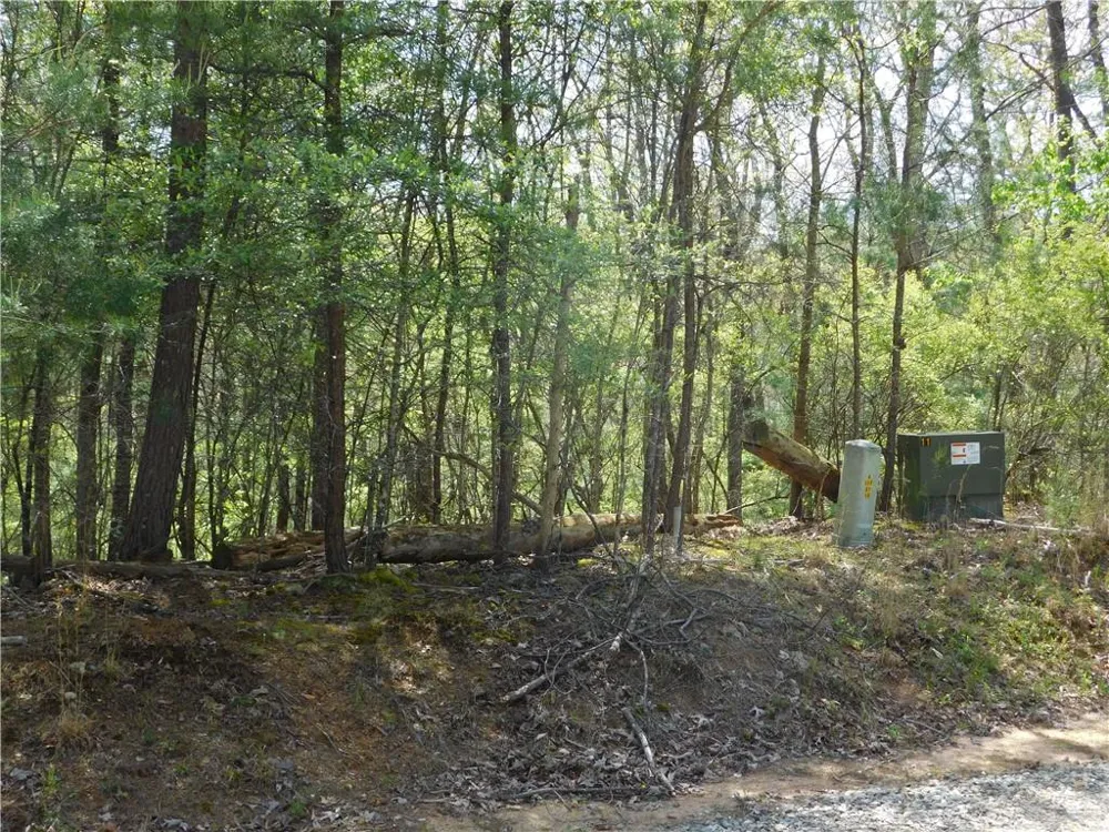 0 Dallas Lane Blue Ridge, GA 30513