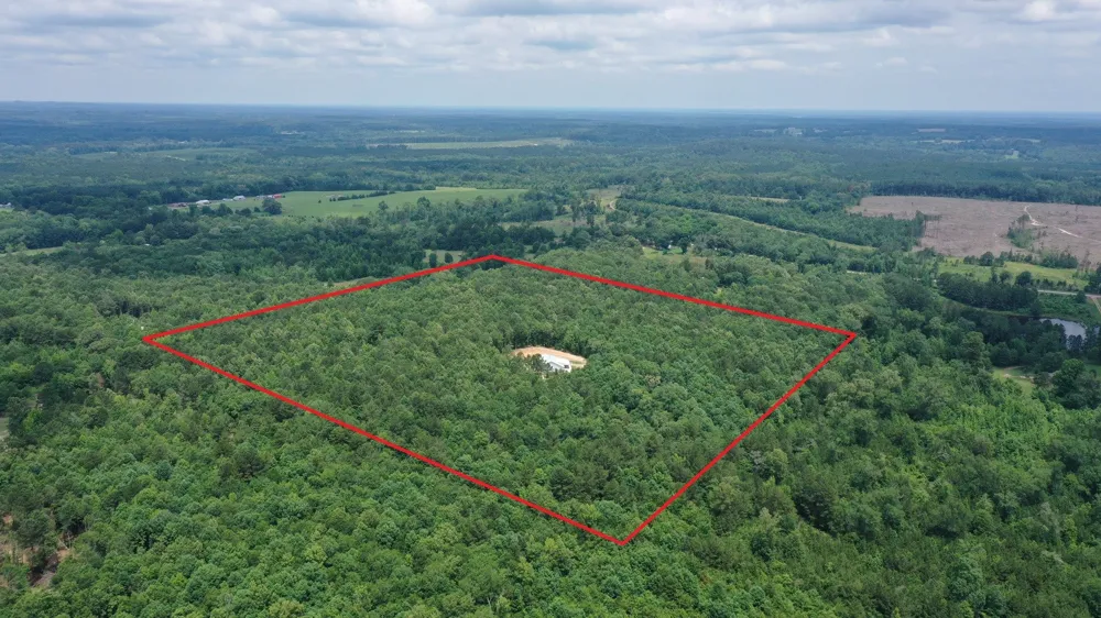 305 County Road 1145 Atlanta, TX 75551
