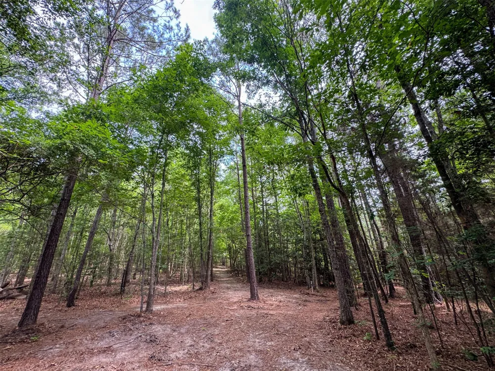 305 County Road 1145 Atlanta, TX 75551