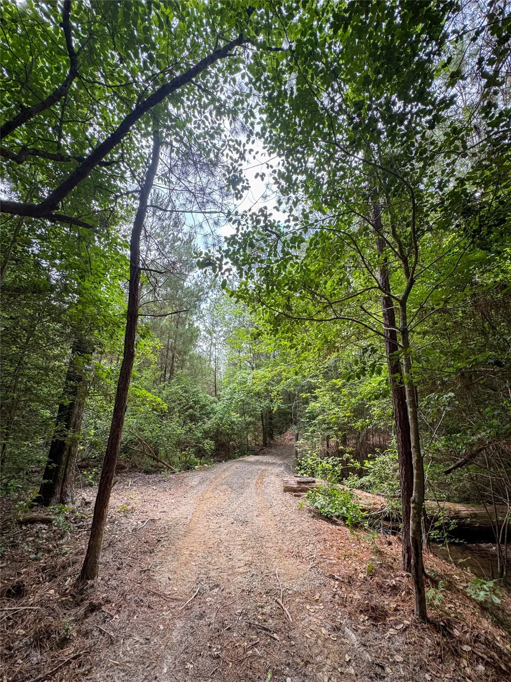 305 County Road 1145 Atlanta, TX 75551