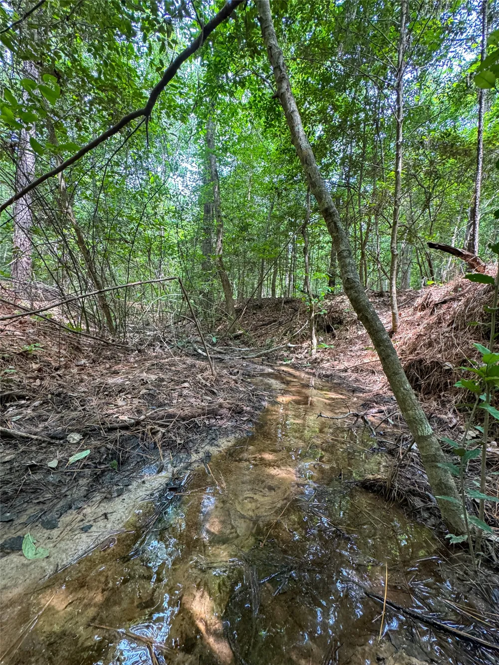 305 County Road 1145 Atlanta, TX 75551