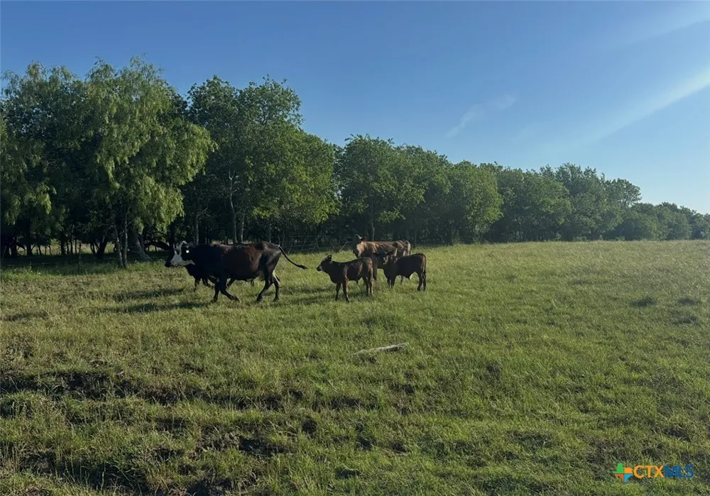 682 W Somers Lane Axtell, TX 76624