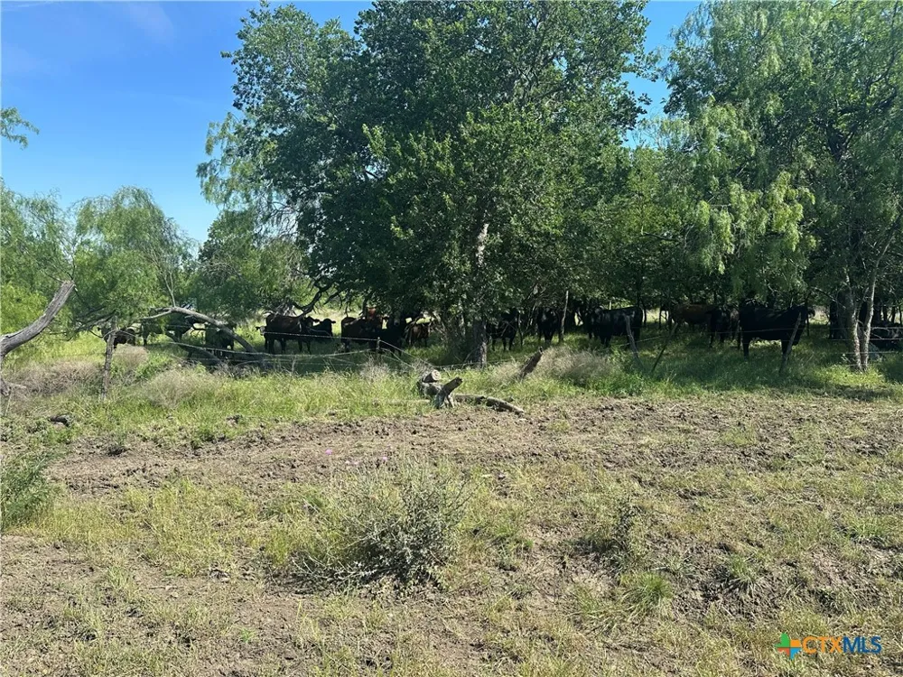 682 W Somers Lane Axtell, TX 76624