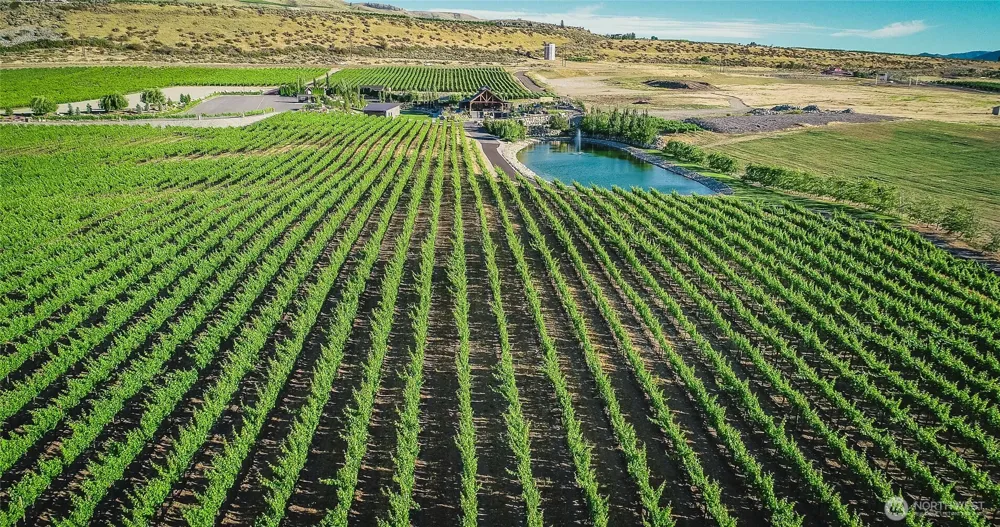 36 Cobblestone Drive Orondo, WA 98843
