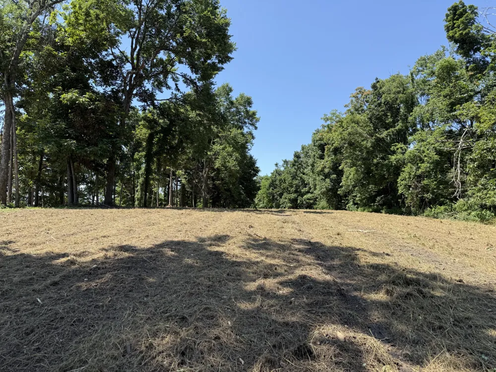 0 Joy Mount Pleasant, TN 38474
