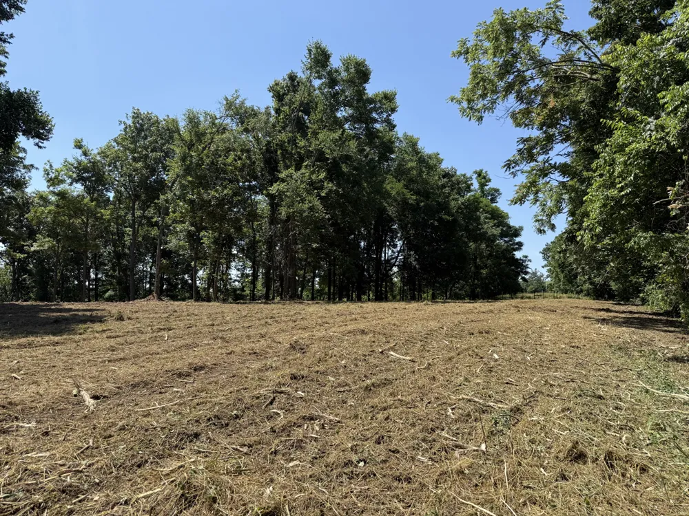 0 Joy Mount Pleasant, TN 38474