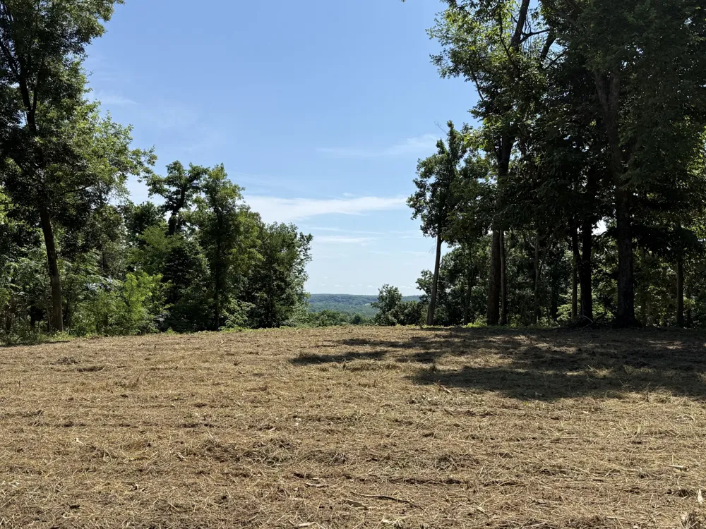 0 Joy Mount Pleasant, TN 38474