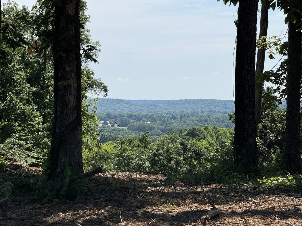 0 Joy Mount Pleasant, TN 38474