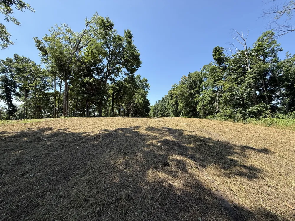 0 Joy Mount Pleasant, TN 38474