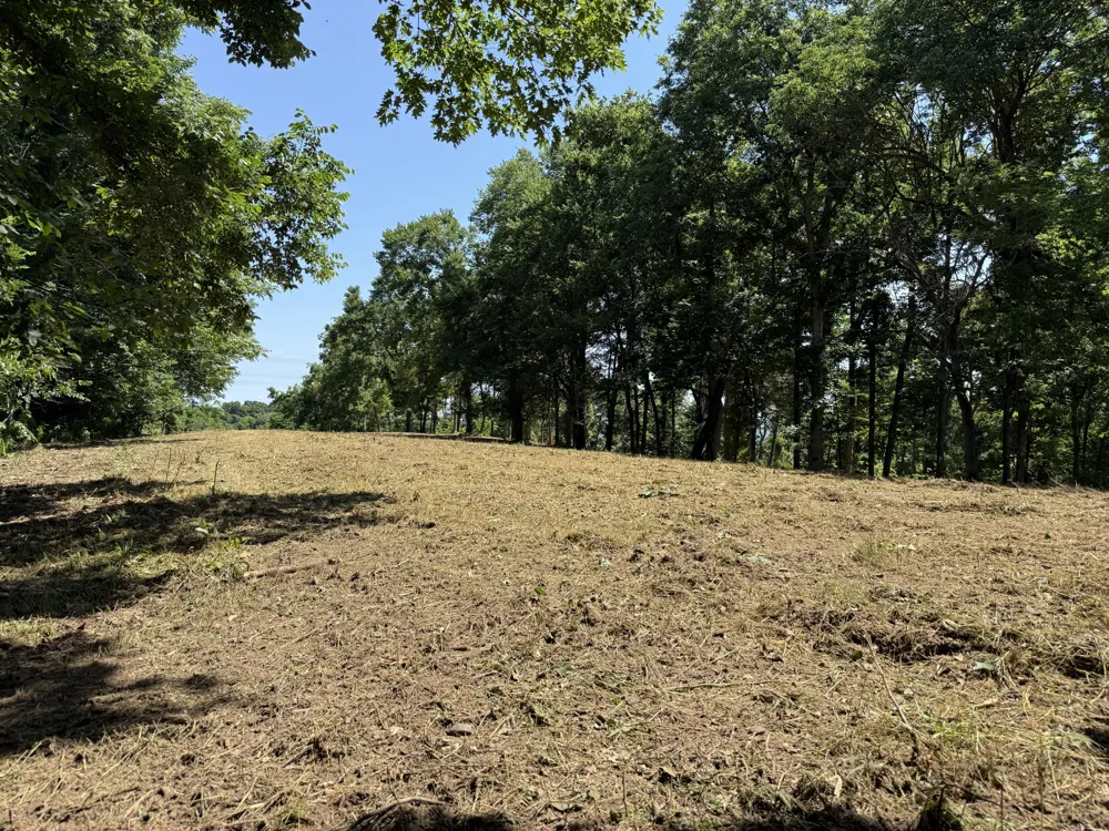 0 Joy Mount Pleasant, TN 38474
