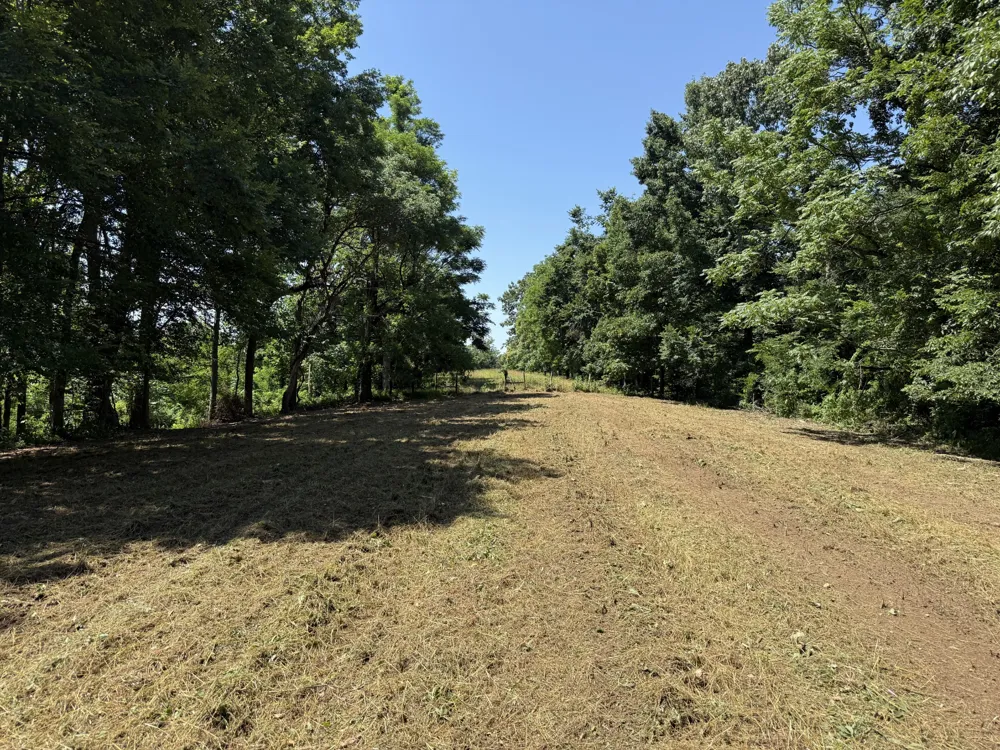 0 Joy Mount Pleasant, TN 38474