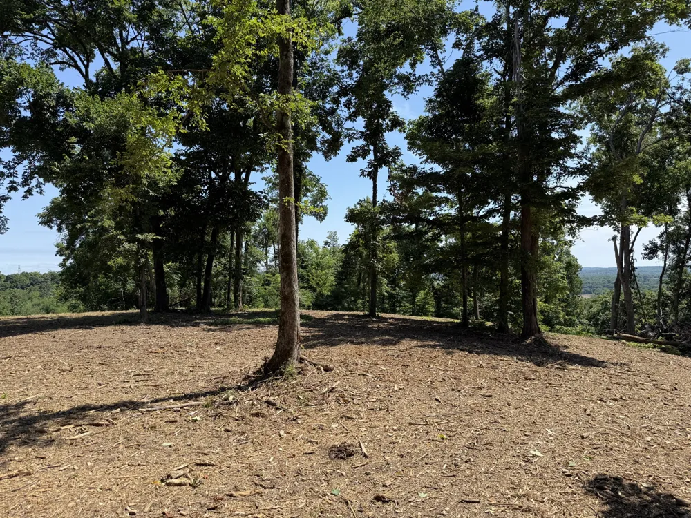 0 Joy Mount Pleasant, TN 38474
