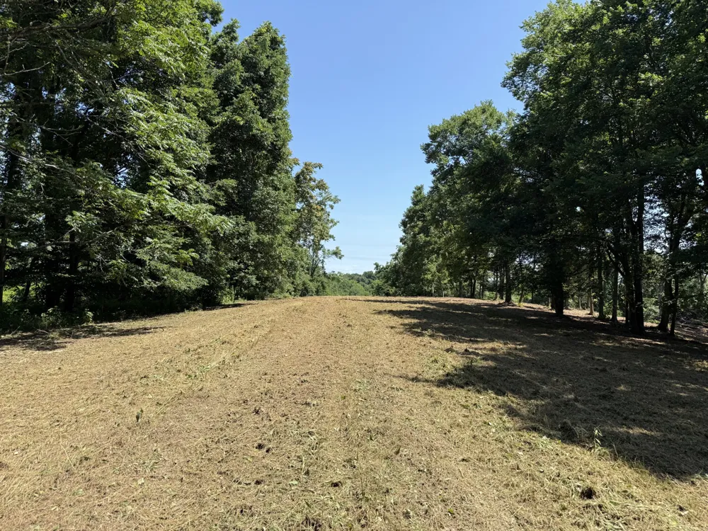 0 Joy Mount Pleasant, TN 38474