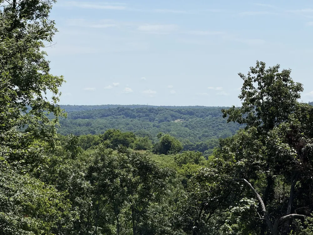 0 Joy Mount Pleasant, TN 38474