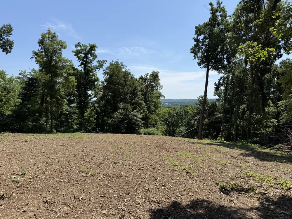 0 Joy Mount Pleasant, TN 38474