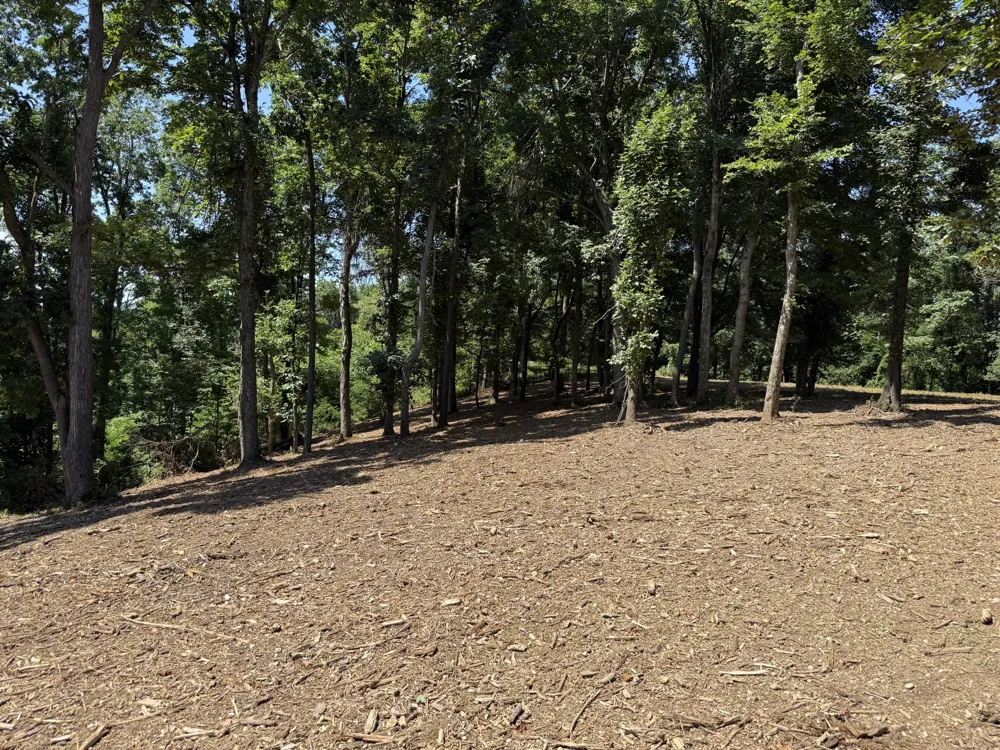0 Joy Mount Pleasant, TN 38474