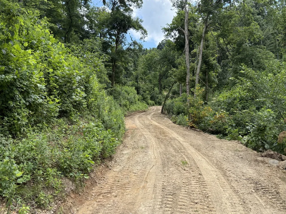 0 Joy Mount Pleasant, TN 38474