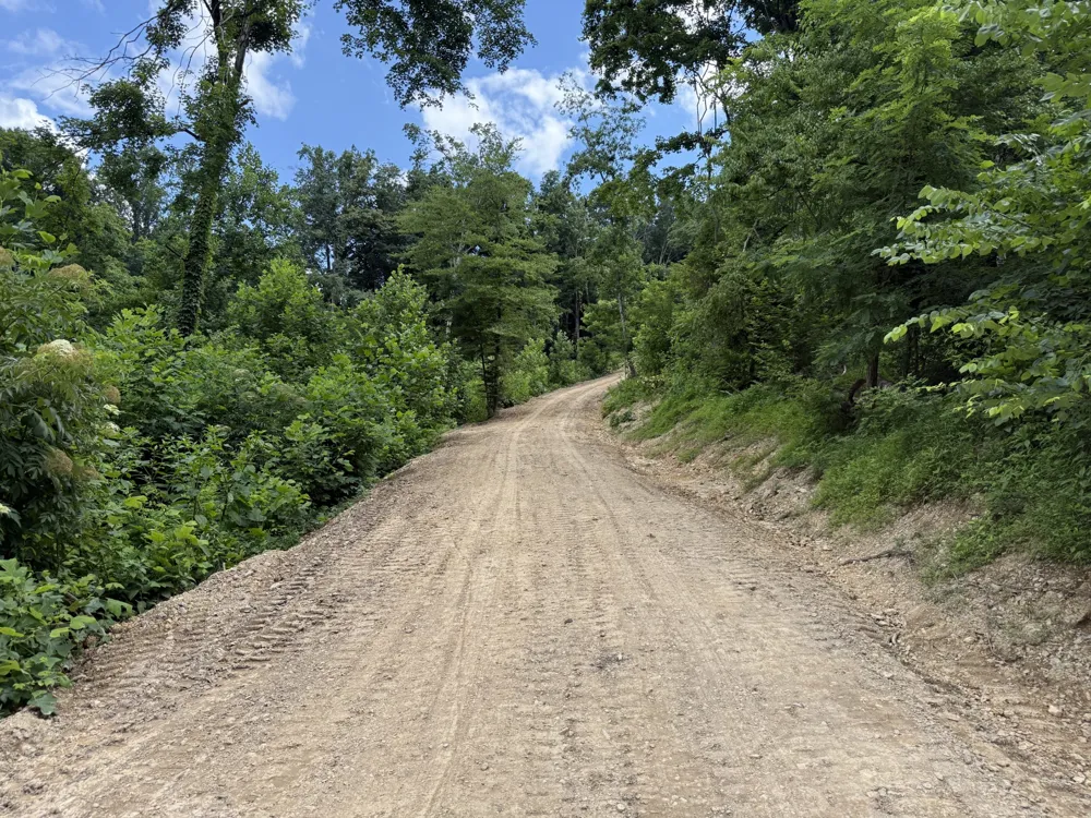 0 Joy Mount Pleasant, TN 38474