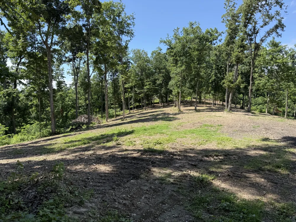 0 Joy Mount Pleasant, TN 38474