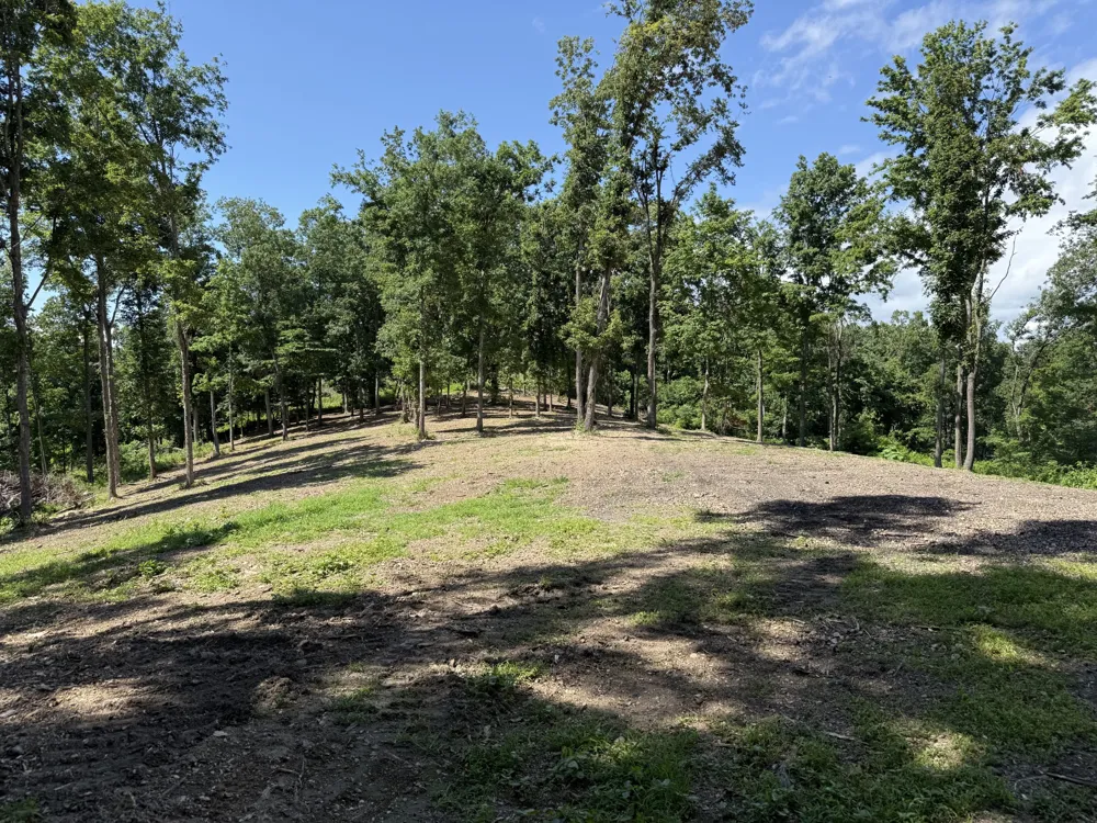 0 Joy Mount Pleasant, TN 38474