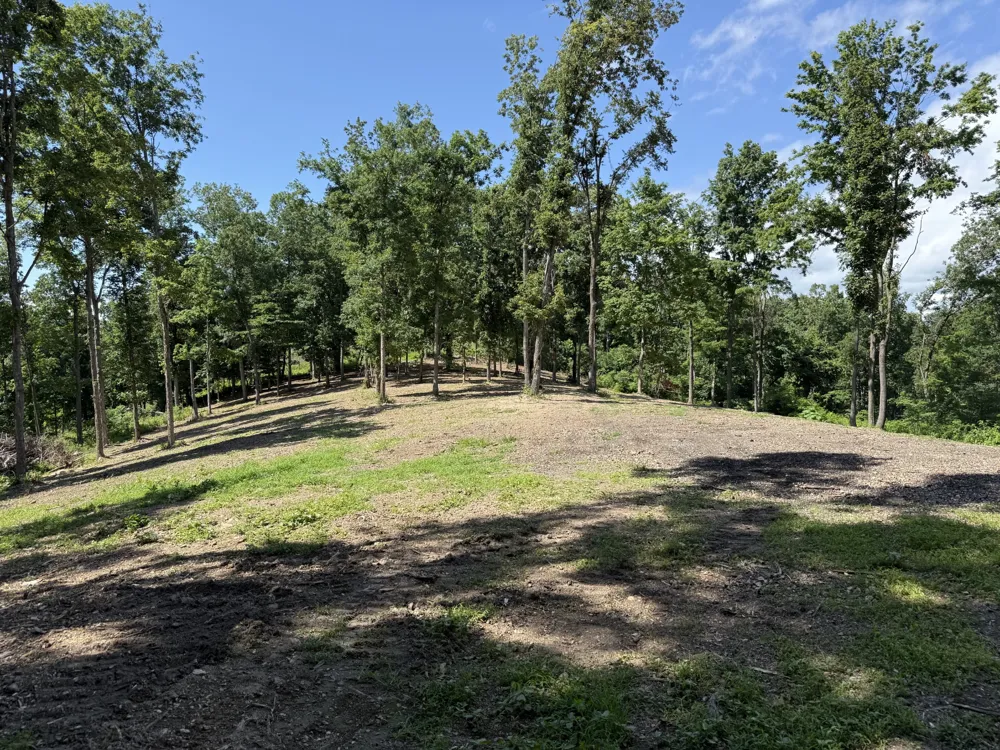 0 Joy Mount Pleasant, TN 38474