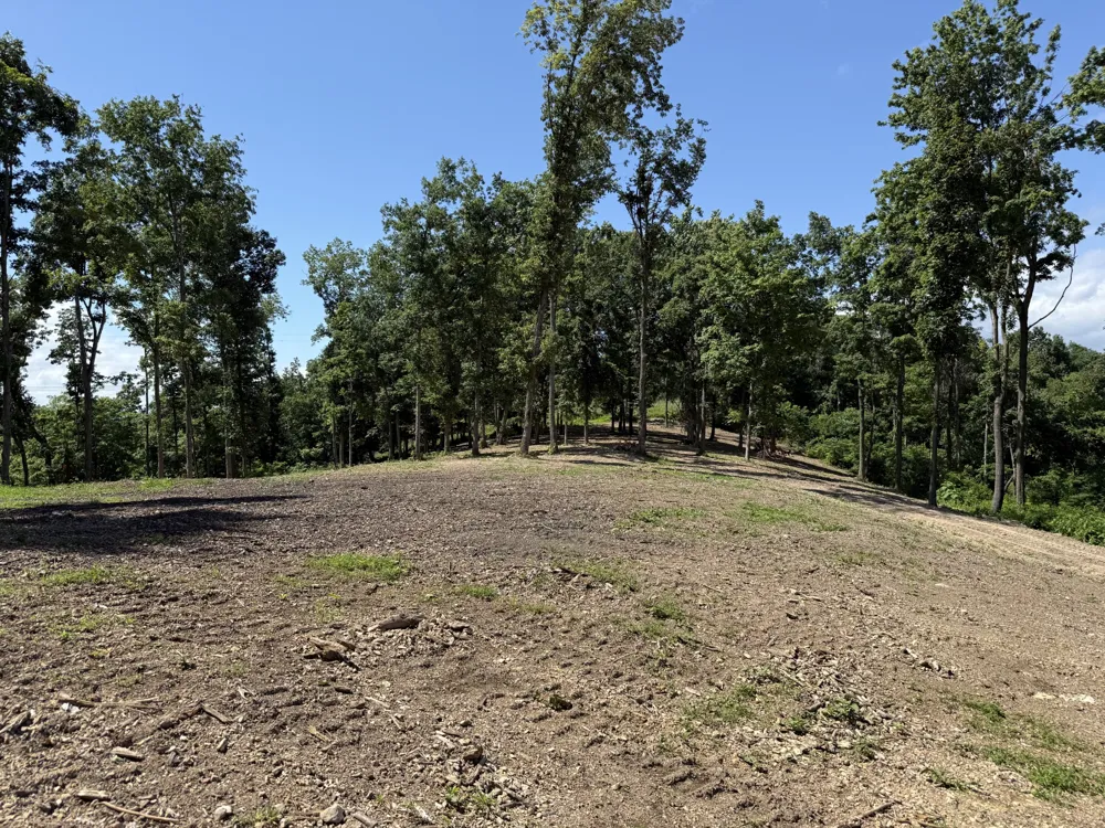 0 Joy Mount Pleasant, TN 38474