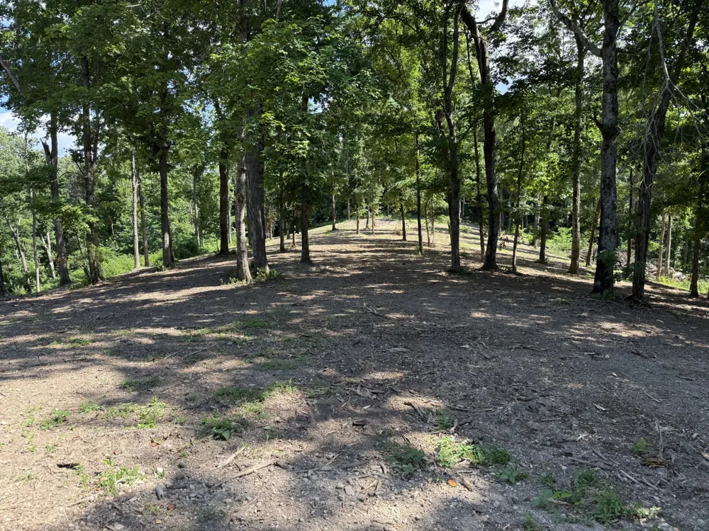 0 Joy Mount Pleasant, TN 38474