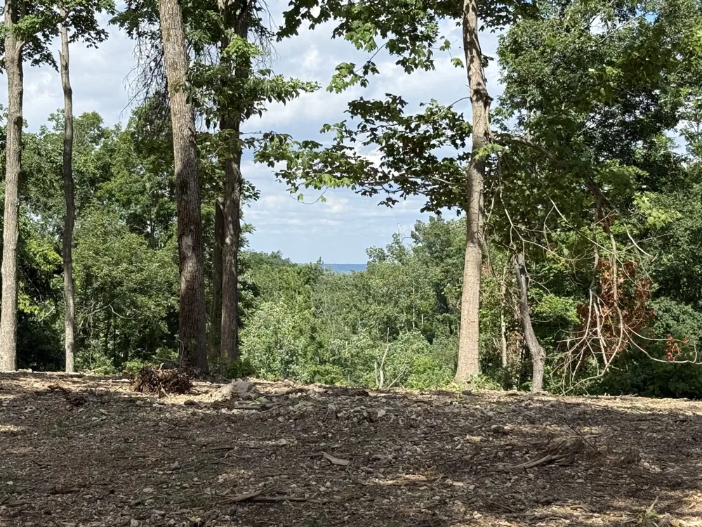 0 Joy Mount Pleasant, TN 38474