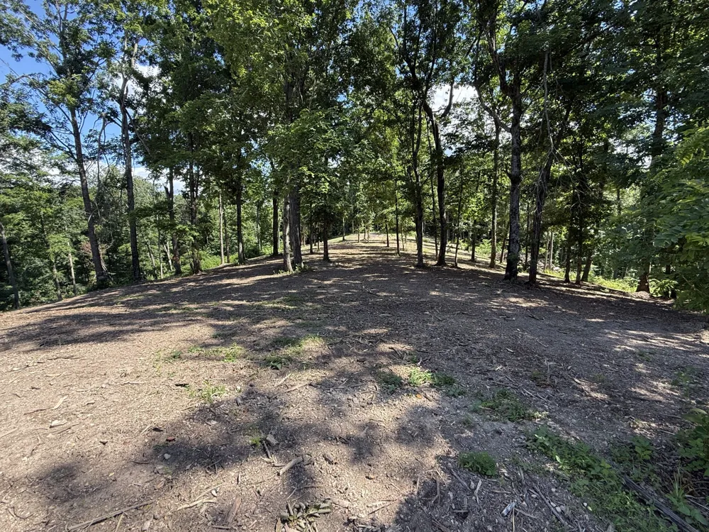 0 Joy Mount Pleasant, TN 38474