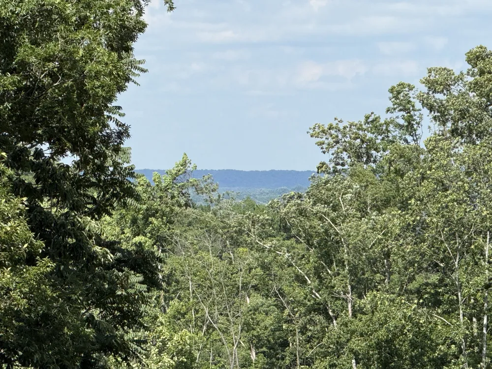 0 Joy Mount Pleasant, TN 38474
