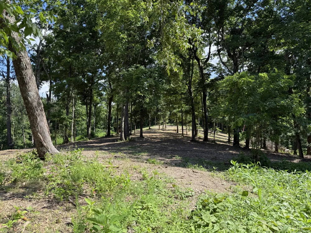 0 Joy Mount Pleasant, TN 38474