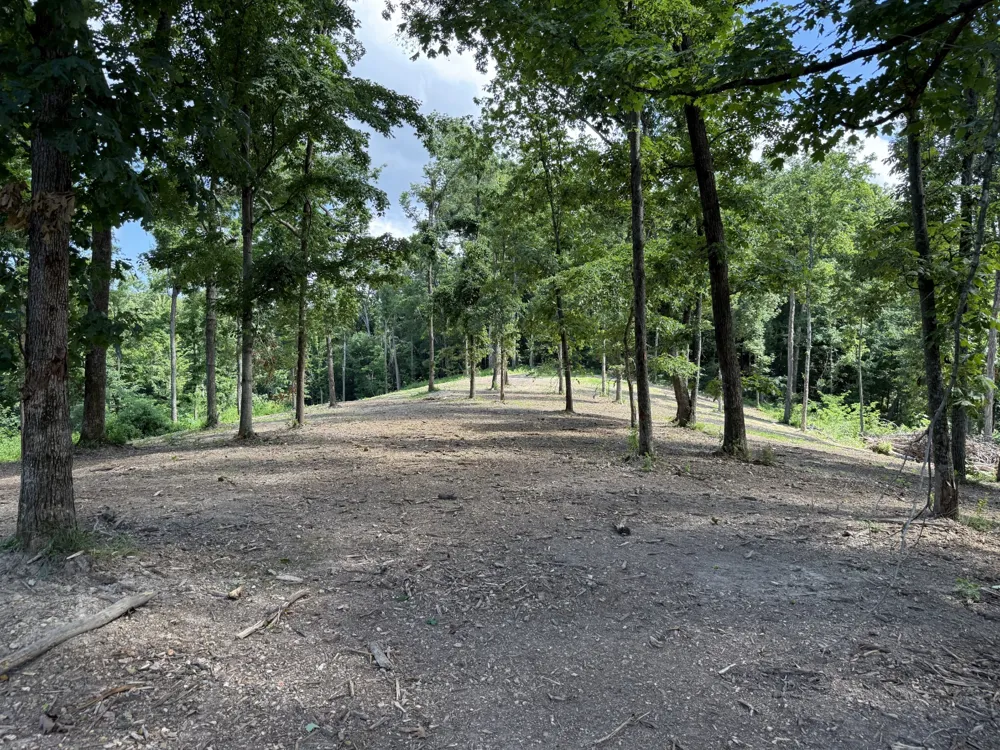 0 Joy Mount Pleasant, TN 38474