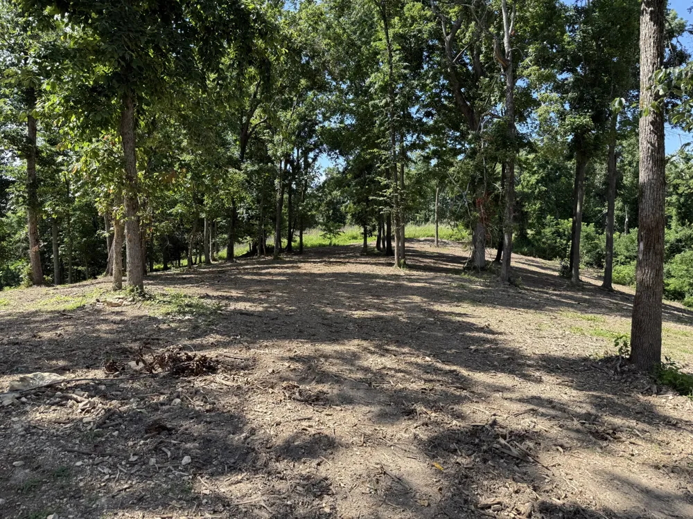 0 Joy Mount Pleasant, TN 38474