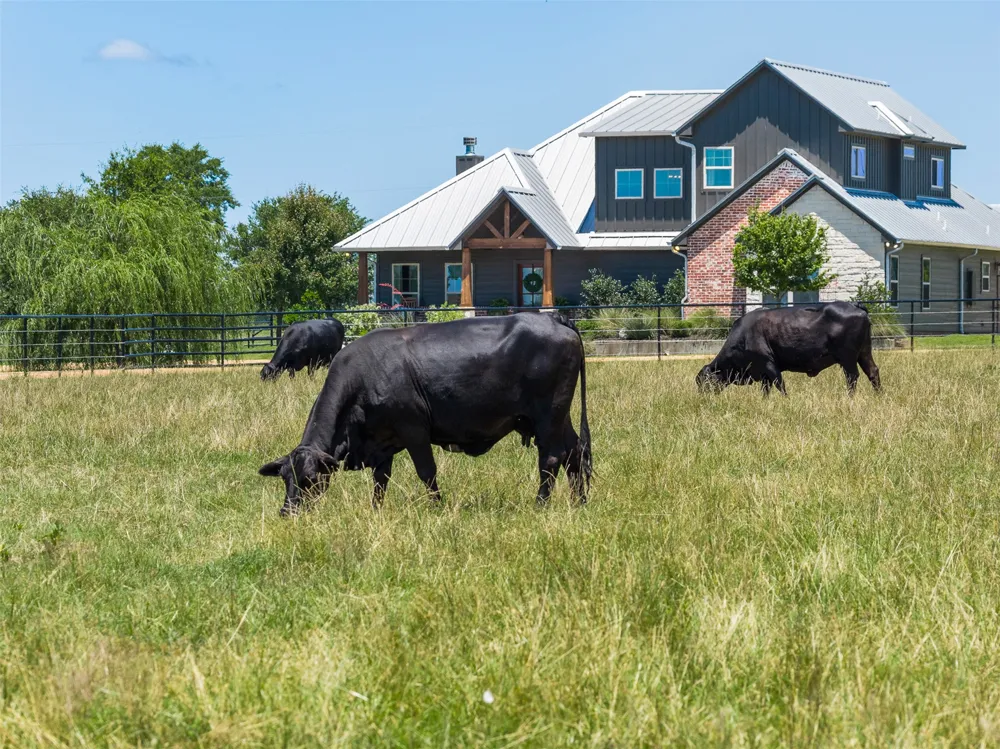 1801 County Road 216 Caldwell, TX 77836