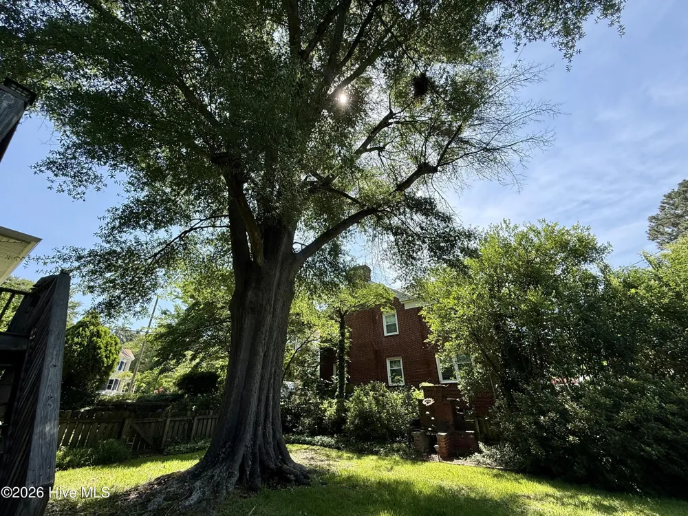 103 Finch Street Clinton, NC 28328