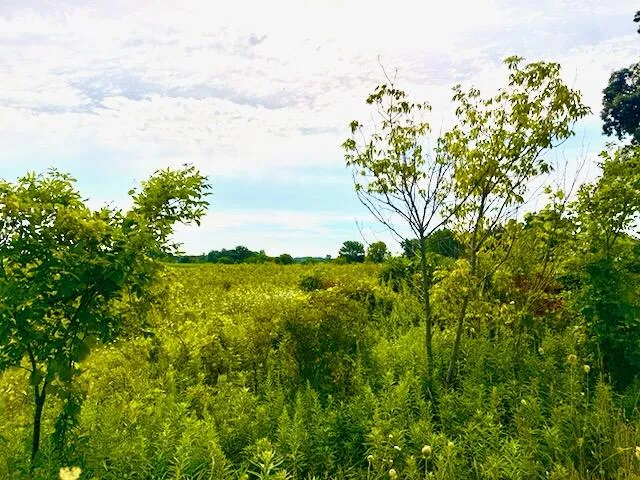 Carpenter Road Three Oaks, MI 49128