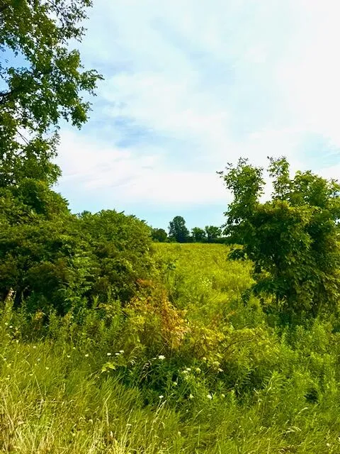 Carpenter Road Three Oaks, MI 49128