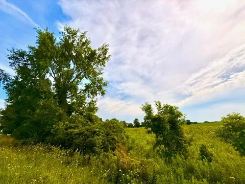 Carpenter Road
