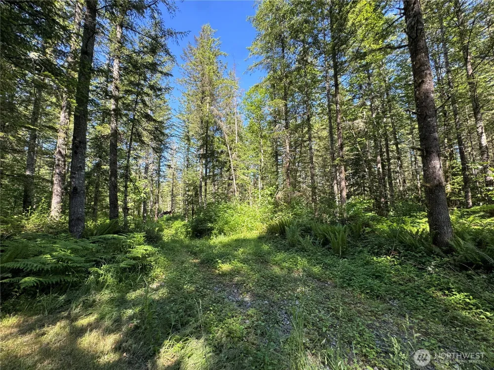 35186 294th Avenue SE Enumclaw, WA 98022