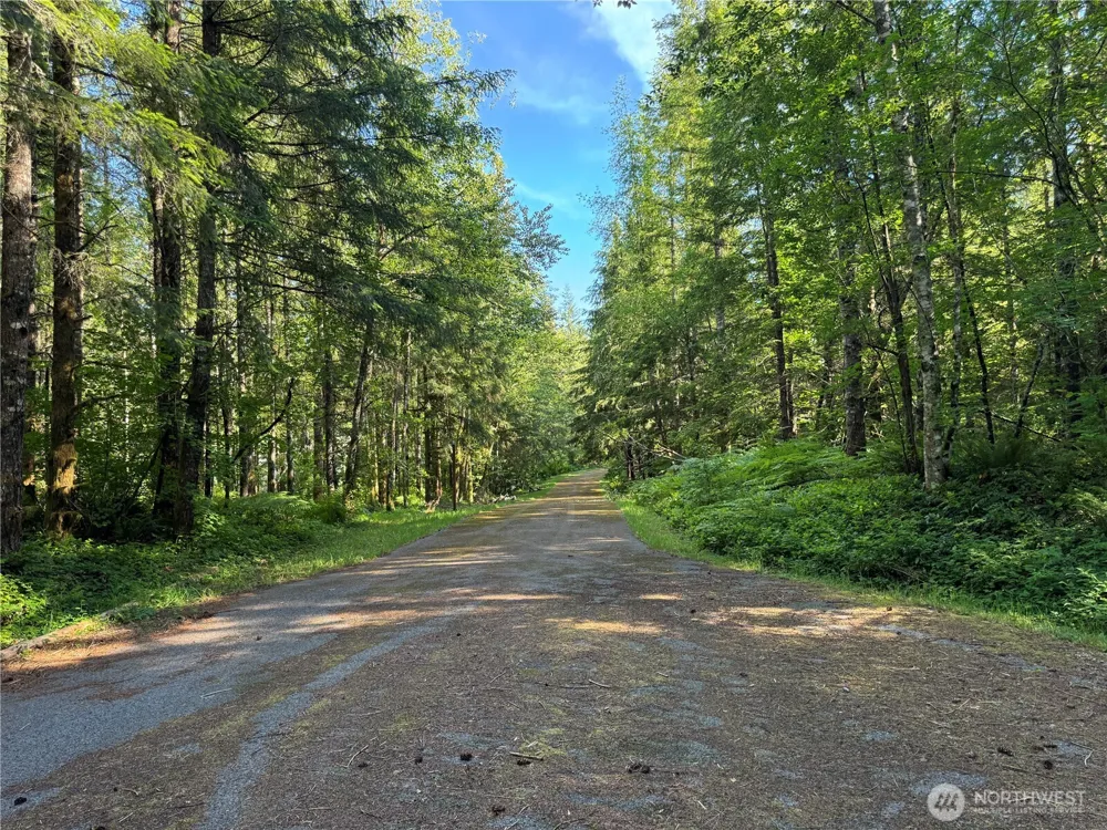35186 294th Avenue SE Enumclaw, WA 98022
