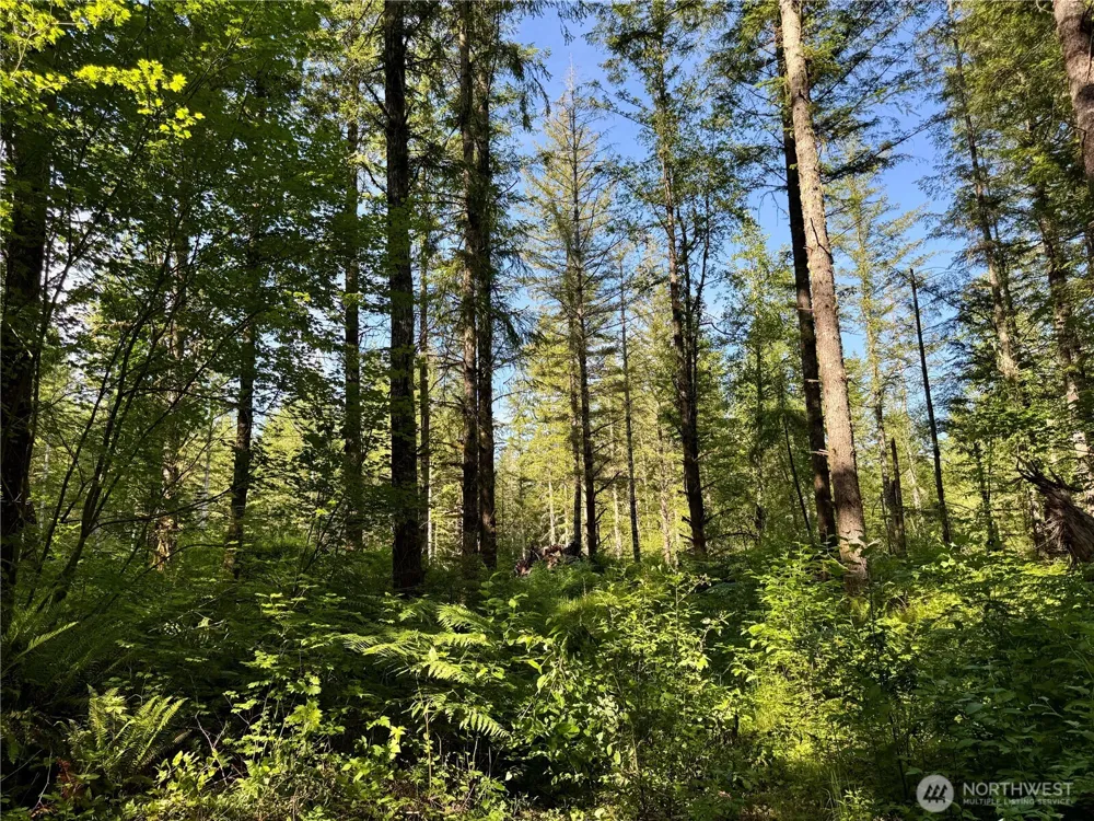 35186 294th Avenue SE Enumclaw, WA 98022
