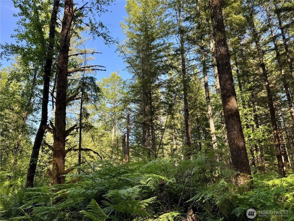 35186 294th Avenue SE Enumclaw, WA 98022
