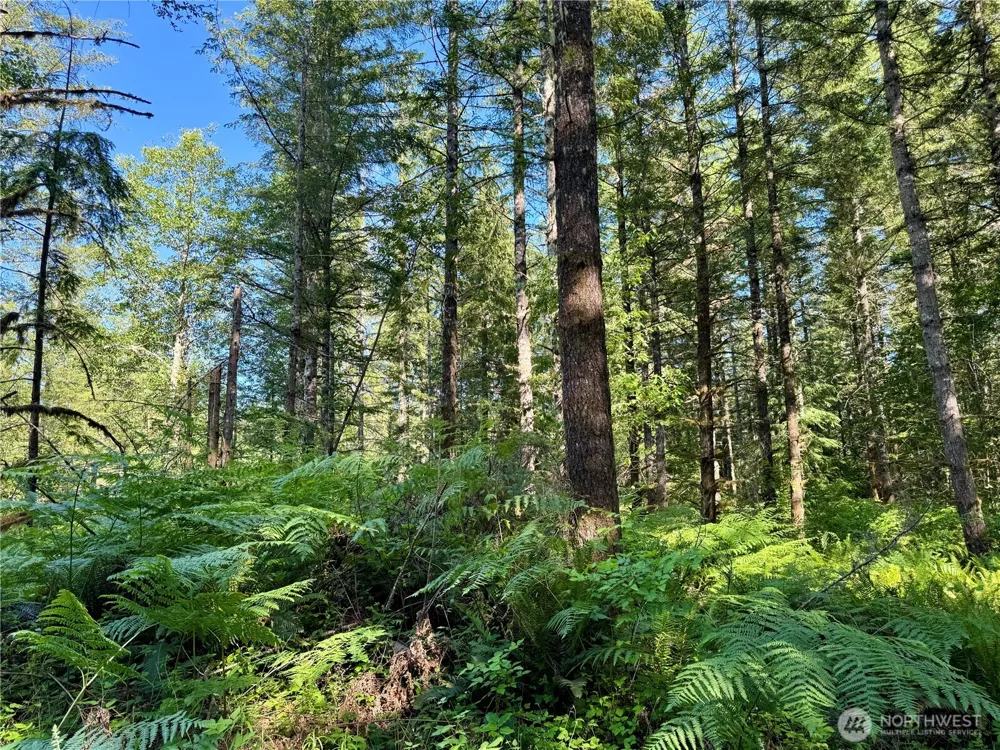 35186 294th Avenue SE Enumclaw, WA 98022