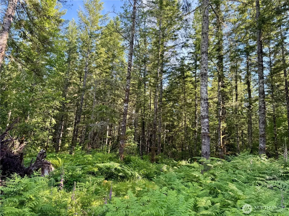 35186 294th Avenue SE Enumclaw, WA 98022