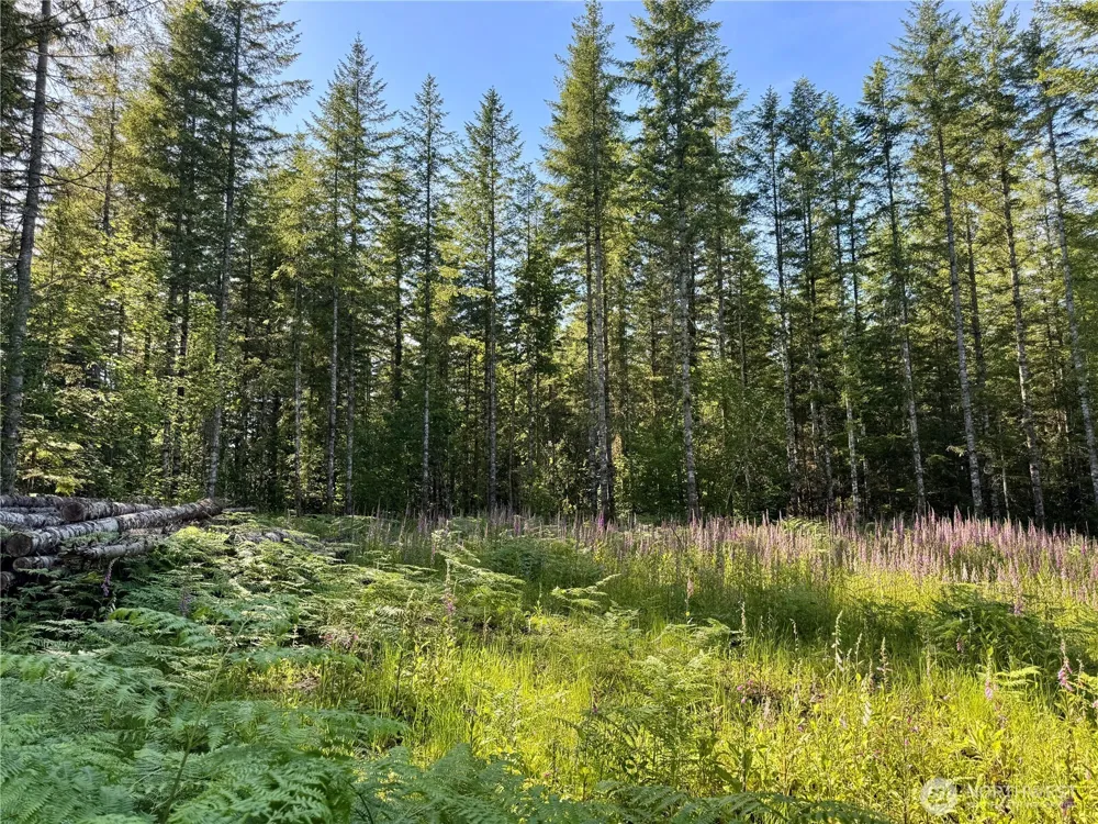 35186 294th Avenue SE Enumclaw, WA 98022